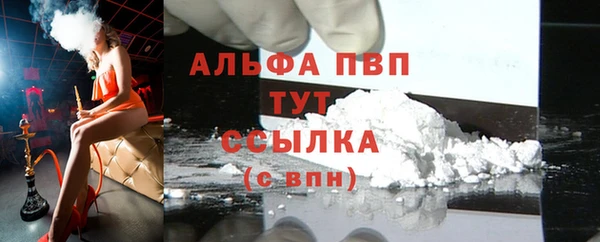 spice Бородино