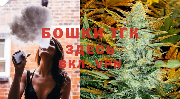 spice Бородино