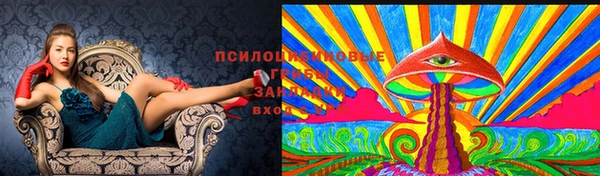 spice Бородино