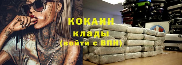 spice Бородино