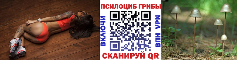 Галлюциногенные грибы Magic Shrooms  Купить где  Луза 